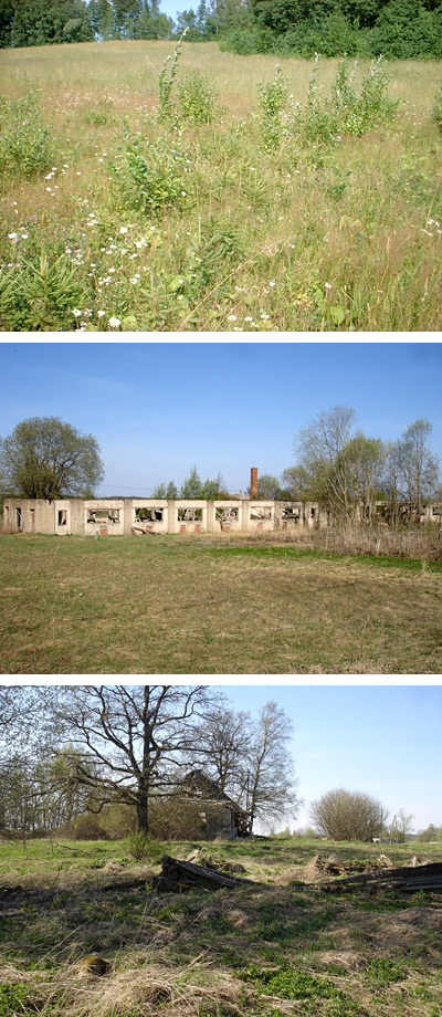 View Image